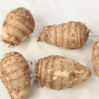 【中华特色】菏泽馆葵哥毛芋头2.5斤装 华东