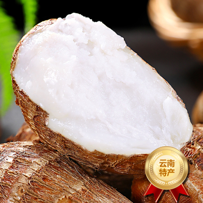 【西沛生鲜】云南牛奶小芋头 净重5斤 单果30-60g