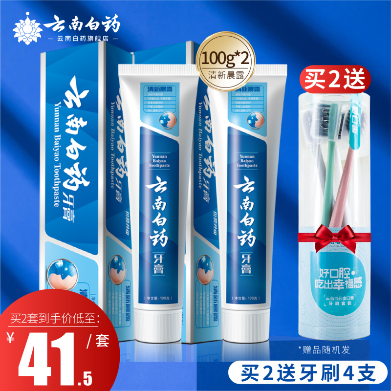 云南白药牙膏 薄荷香100g 减轻牙龈问题口腔健康清新口气
