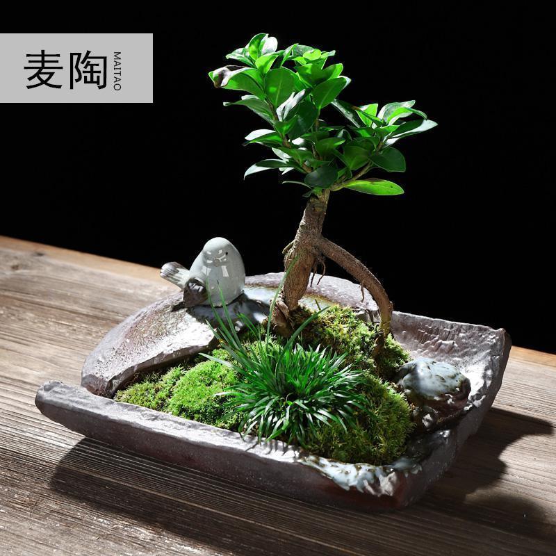 创禅意新中式哥窑陶瓷花盆小叶榕树盆栽盆景家用办公室净化空气_870