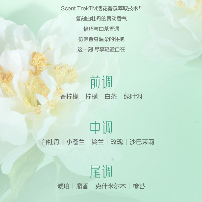 阿道夫 白牡丹香氛洗护套装白牡丹洗发水800ml*2瓶高清大图