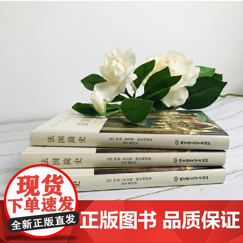 法国简史(左手玫瑰右手枪,一小时读懂法兰西的浪漫和激荡) 正版书籍高清大图
