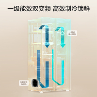 容声(Ronshen)637升对开门冰箱家用无霜离子除菌大容量双门冰箱超薄嵌入式变频一级能效 BCD-637WD11HP