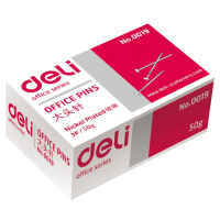 得力(deli)大头针0019