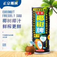 椰树 椰汁正宗椰树牌椰子汁饮料 245ml*24罐 植物蛋白椰奶家庭办公室休闲饮品果味早餐桌饮料品新老包装随机发货