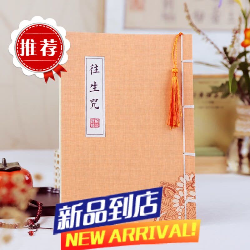 常诵课往生咒全注音版手抄经本字帖硬笔图片