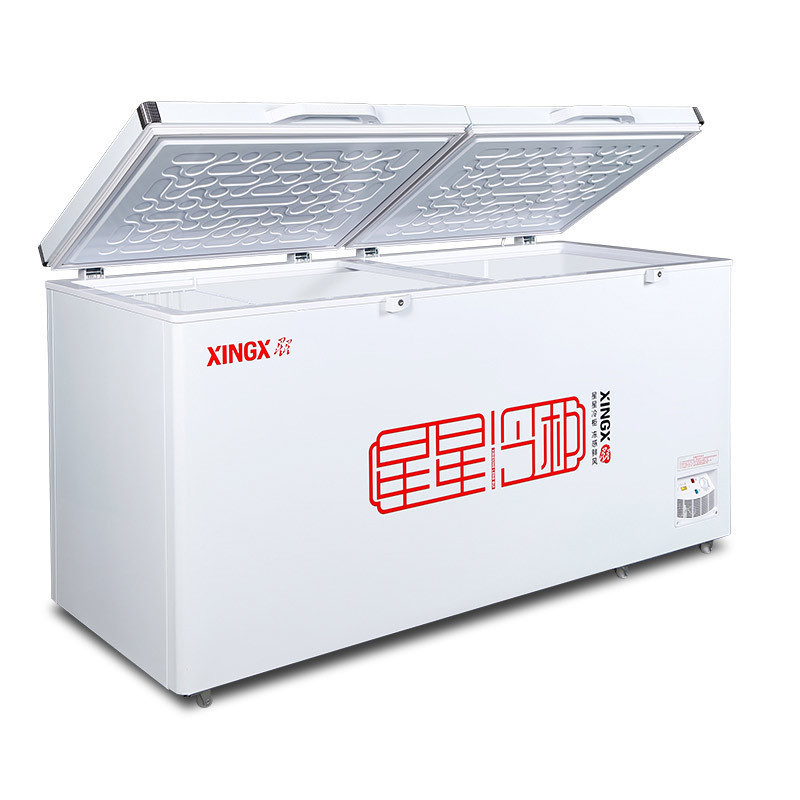 星星(Xingx)BD/BC-528GE 518升 冰柜冷柜 厨房商用保鲜设备卧式大容量 冷藏冷冻转换单温冰柜 一级能耗