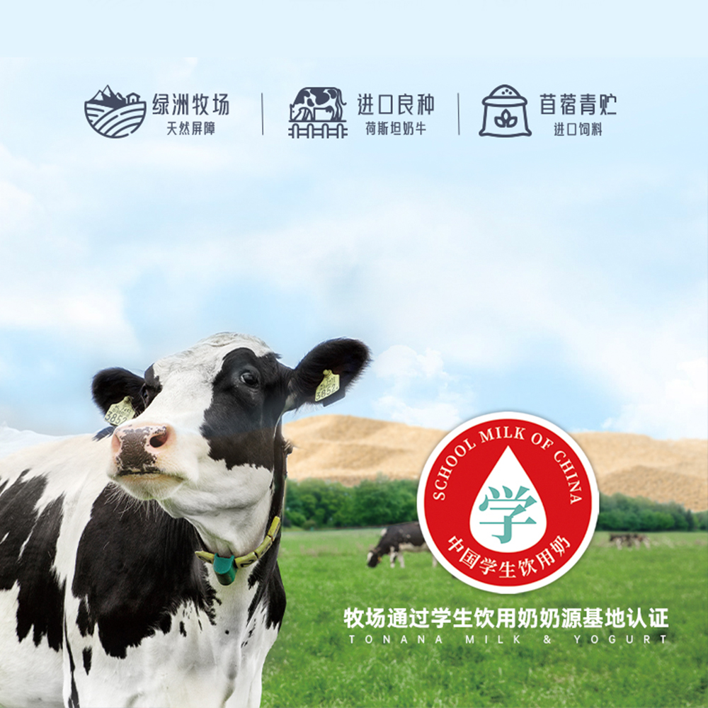 土姥姥 - 新疆纯牛奶 200ml*10盒*3提高清大图