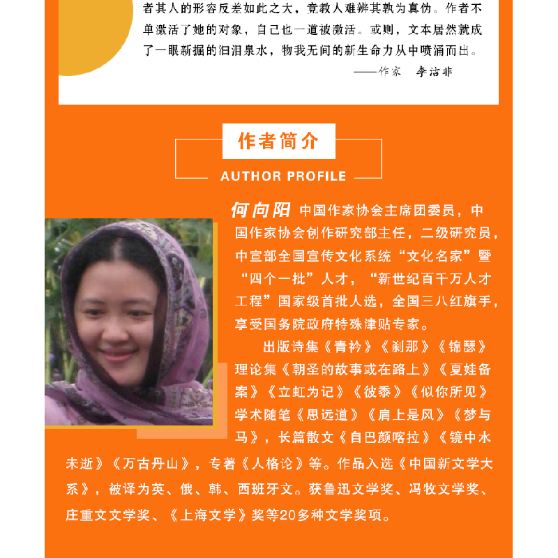 正版新书]文学百年-无尽山河何向阳9787556128242高清大图