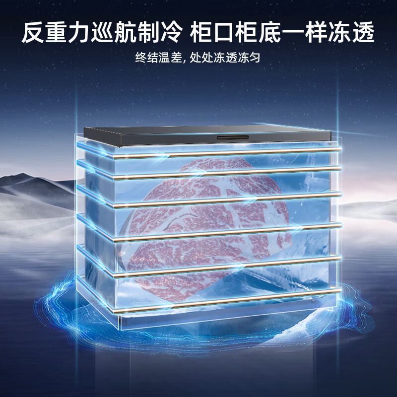 美菱(MELNG)301L单温家用冷柜减霜84.1%直冷定频一级能效机械控温彩钢面板BC/BD-301DT高清大图