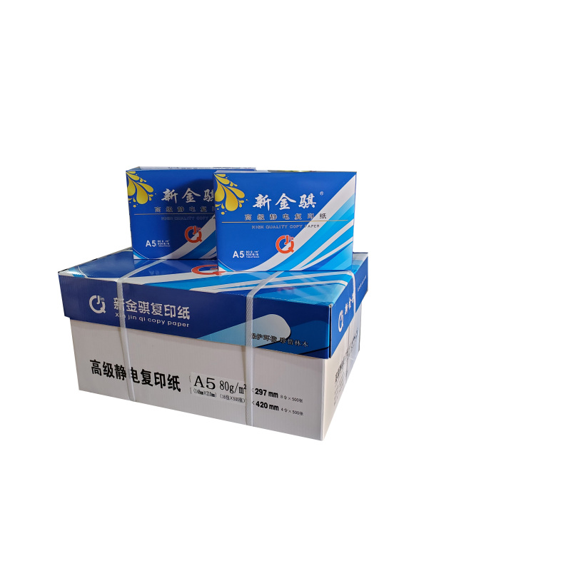 新金骐 蓝新金骐高级静电复印纸 80g复印纸白纸草稿纸 整箱 80g-A5-16包装(8000张