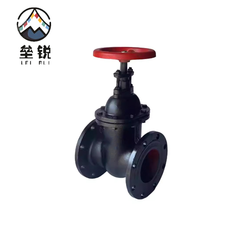 垒锐 铸铁法兰闸阀 DN200 个 DN200