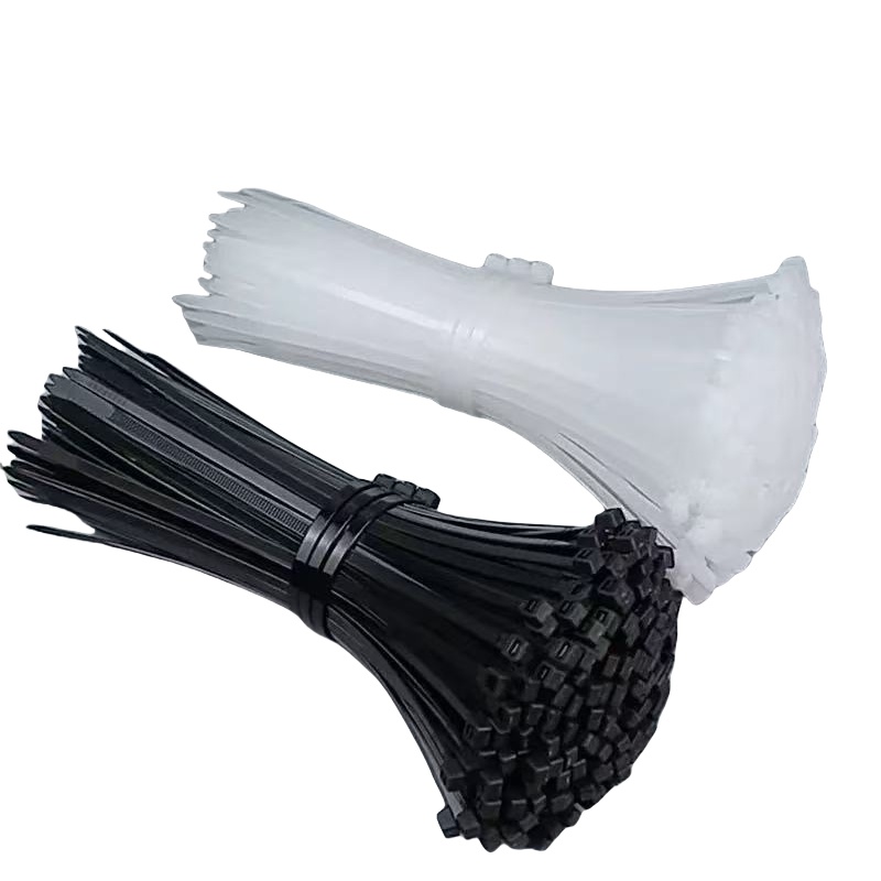 智铮朗月 尼龙扎带 10*600mm 根高清大图