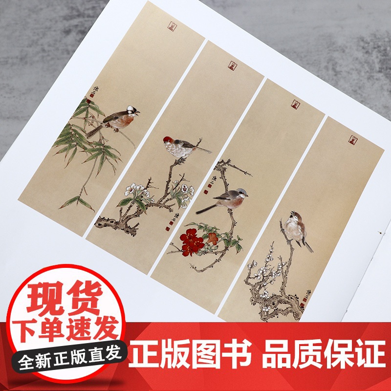 [2册]花鸟白描图谱+花卉白描图谱 中国国画工笔画底稿白描画稿画谱中国画素材库书籍高清大图