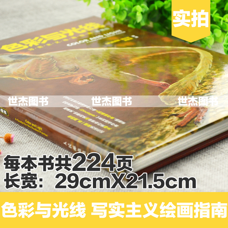 [醉染正版] 色彩与光线 写实主义绘画指南黄朝贵哥推荐翻译艺术设计书籍全彩设计书插画路米斯素描教程想象力构图与创作思高清大图