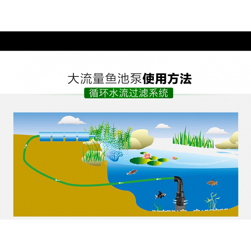 鱼池过滤泵池塘抽水泵假山喷泉泵锦鲤池塘过滤循环泵大流量