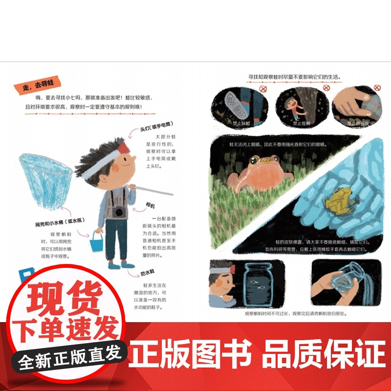 家门口的野生动物朋友 成为青蛙王子——嗨,蛙蛙朋友高清大图