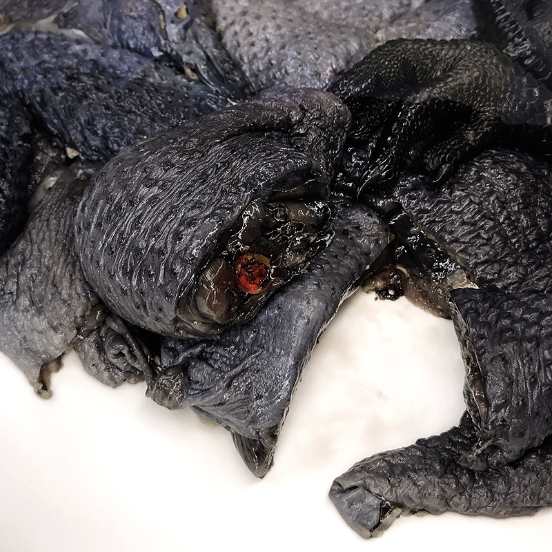 温氏供港乌骨鸡1000g只乌鸡整鸡现杀鸡汤煲汤鸡肉