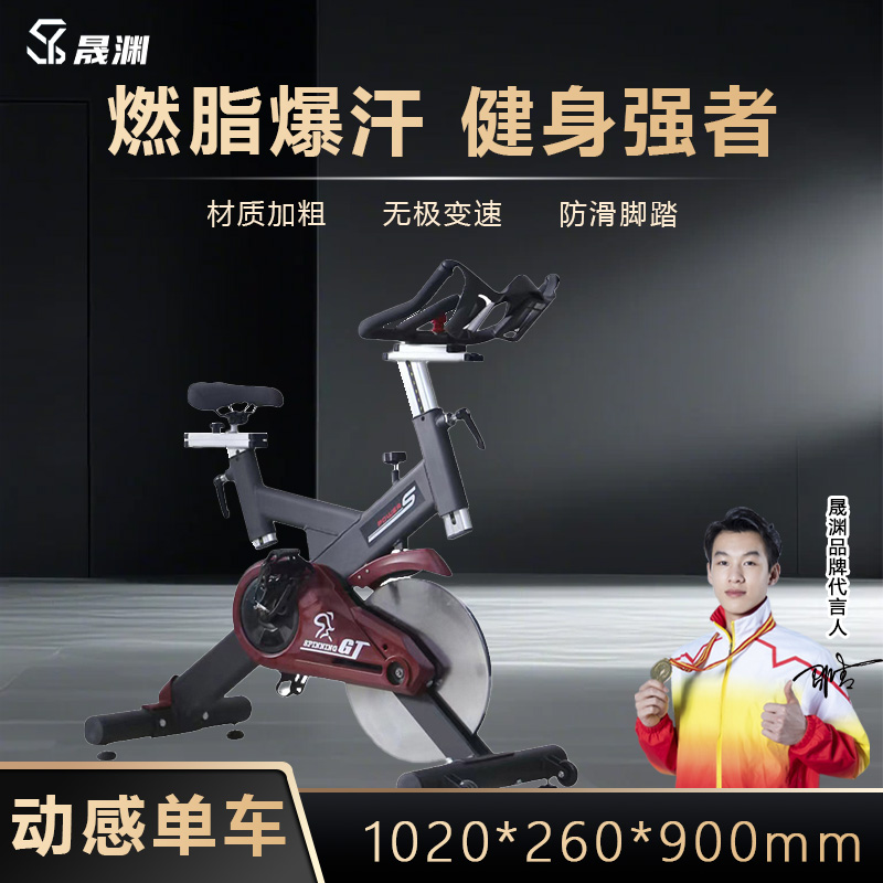 晟渊 健身房级家用运动器材室内自行车动感单车 YSR425