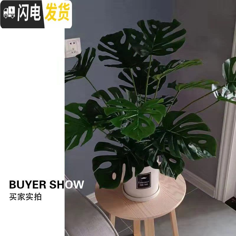 三维工匠简约圆柱ins北欧风带托盘室内沙漠植物现代创意陶瓷多肉花盆批发 哑光灰(FORYOU) 小花盆容器图片