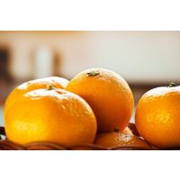 桔子(阿里0324)