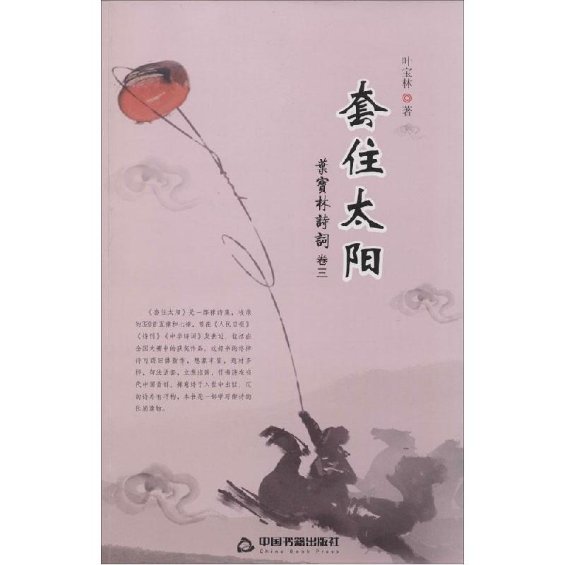 正版新书】套住太阳叶宝林9787506843720