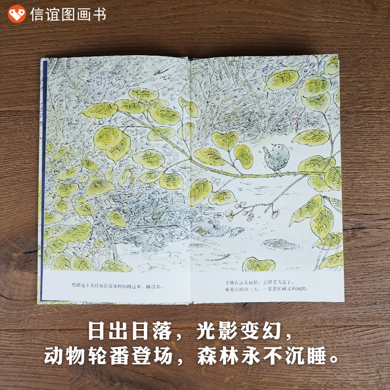 单本全册 [正版]森林硬壳精装绘本世界精选图画书系列信谊让孩子亲近自然欣赏自然尊重自然的图画书童书3岁4岁5岁6岁幼儿园高清大图