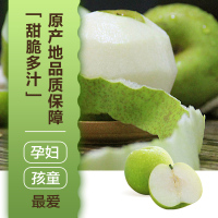 青皮蜜梨砀山翠冠梨净重4.5斤新鲜当季果园直采砀山脆梨水果 甜脆多汁 送礼公司福利采购