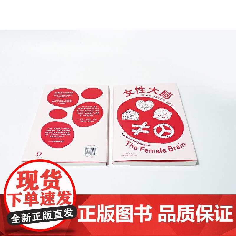女性大脑 一本让女性认识自我的书 讲述女性自己的故事 无论你是想探究亲密关系 还是想更了解自己 这本书都能告诉你高清大图