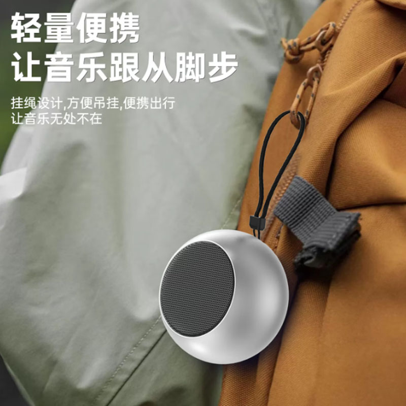 sayrelances塞尔兰斯蓝牙音箱低音炮DZ-017高清大图