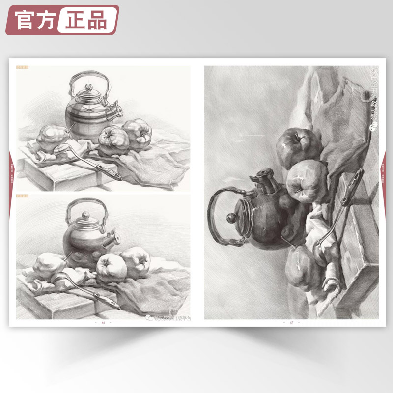 [醉染正版]画繁为简素描静物1 领先教学张磊结构解析组合基础入门步骤光影关系照片对画临摹范本陈平经典院校高艺联考美术绘画高清大图