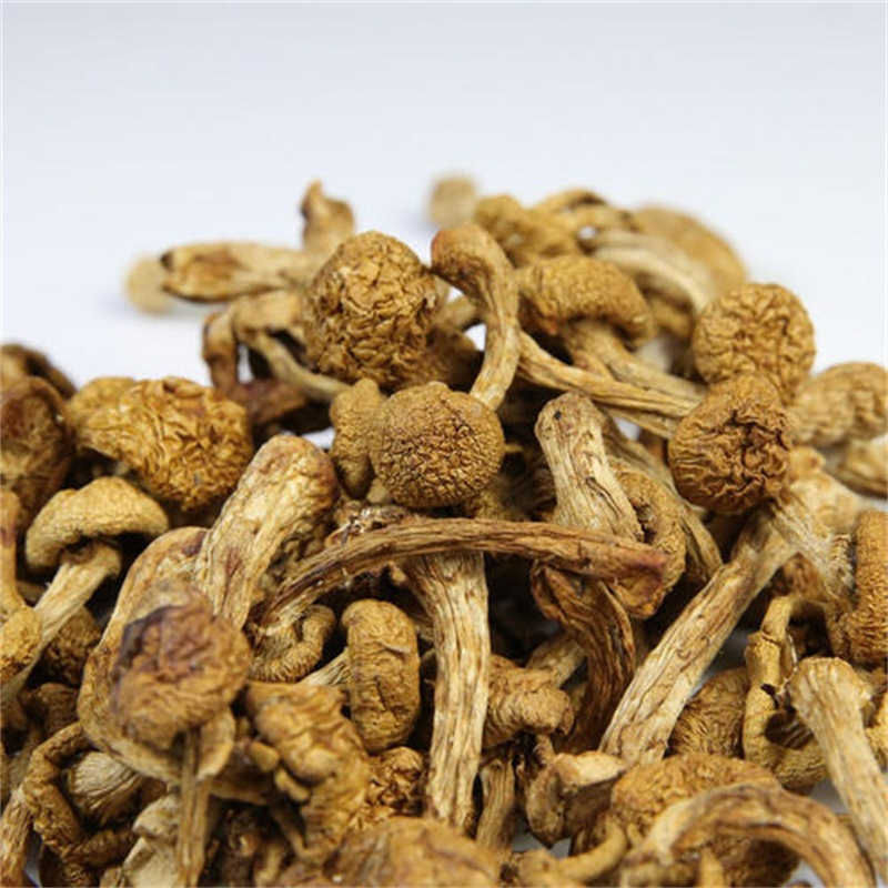 珍珠菌 80克