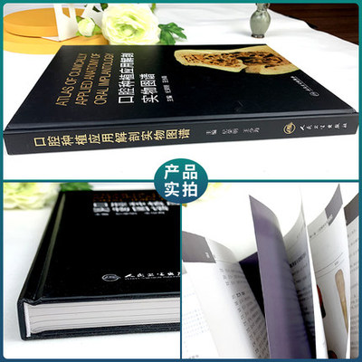 [醉染正版]口腔种植应用解剖实物图谱 纪荣明 王少海 口腔种植学基础理论临床应用医师参考工具用书 口腔医学书籍 人民卫生高清大图