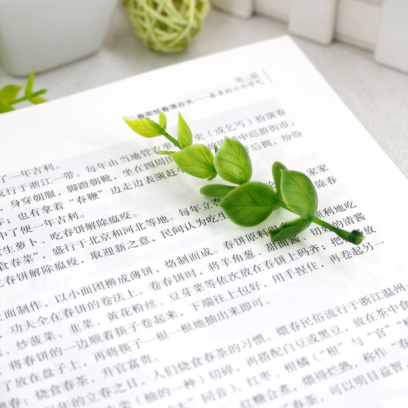 [醉染正版]图解二十四节气知识 节日由来风俗民俗宜忌民间谚语传统智慧时间之书中华文化实用农业知识用书养生生活百科书籍97