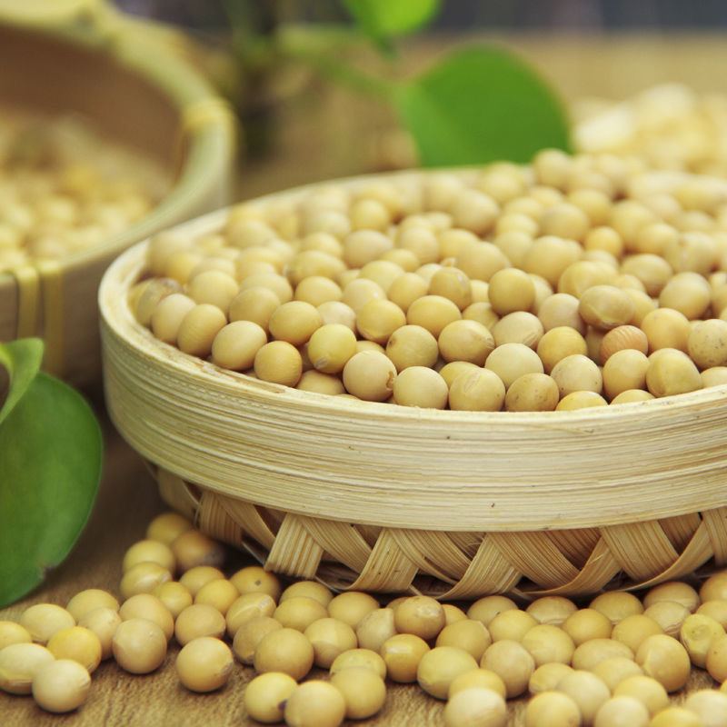 [江苏乡村振兴][财政集采][丰县]桃小淘 大豆油20升 大桶食用油 新老包装交替发货 只售丰县