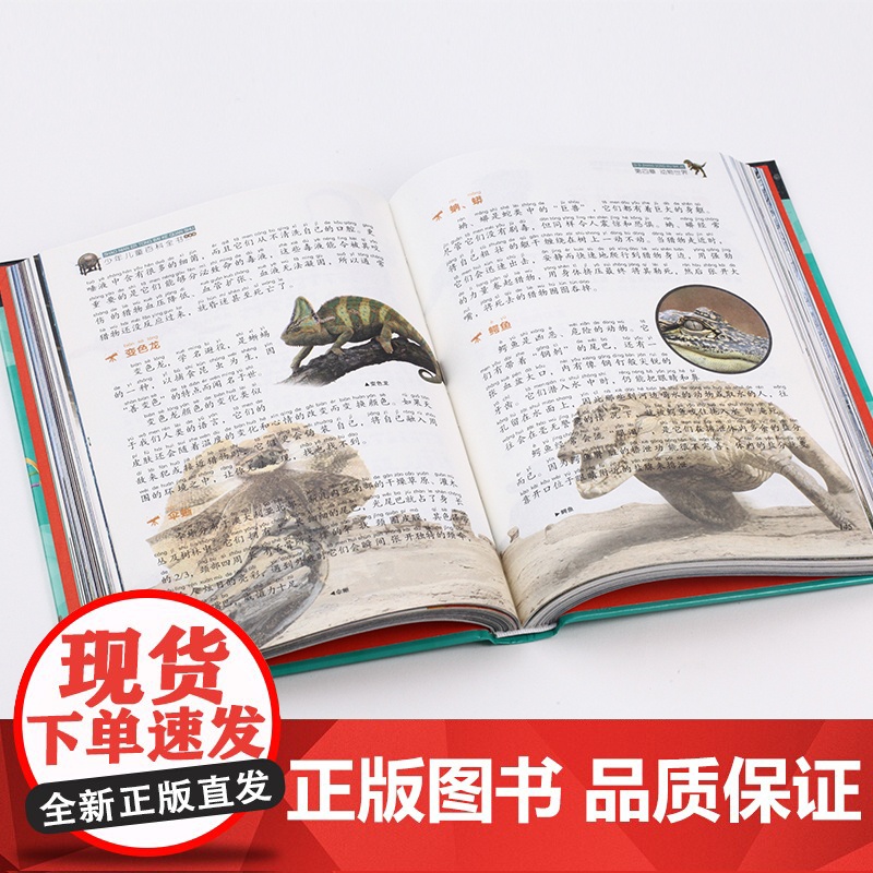 中国少年儿童百科全书正版注音版 小学生科普百科读物十万个为什么少儿版天文地理动物植物科普书6-8-10-12岁儿童趣味百高清大图