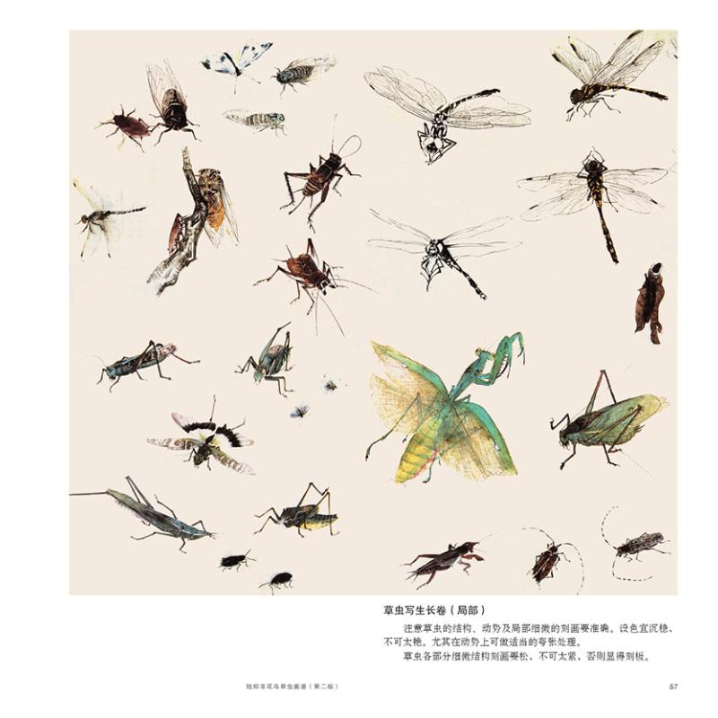 醉染图书陆抑非花鸟草虫画谱(第2版)9787558626302高清大图