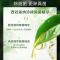 立白卫仕除菌洗衣液青翠茶园1kg*1瓶+1kg*1袋茶树精油精萃抑菌除异味深层洁净医护级