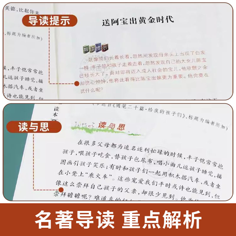 小学生老舍读本 [正版]小学生丰子恺读本文学名家作品精选 三四五六年级必读课外书丰子恺散文集缘缘堂随笔白鹅漫画故事儿童文高清大图