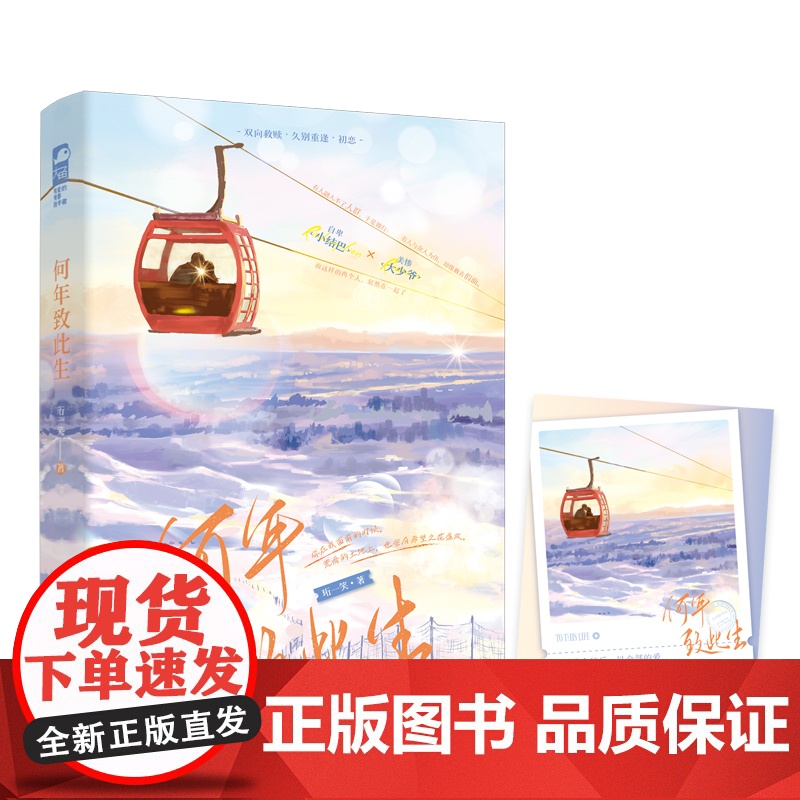 正版 何年致此生 珩一笑 青春文学校园初恋暗恋双向救赎久别重逢言情小说实体书籍高清大图
