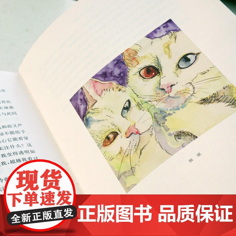猫的私人词典 私人词典系列 弗雷德里克·维杜 著 文学高清大图