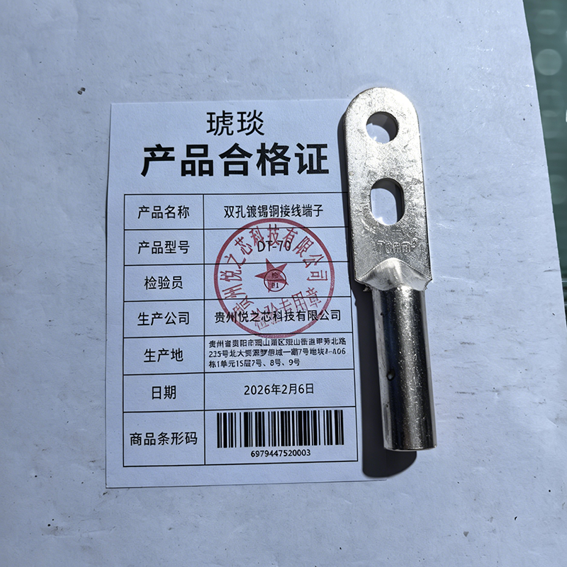 琥琰 双孔镀锡铜接线端子 DT-70 个高清大图
