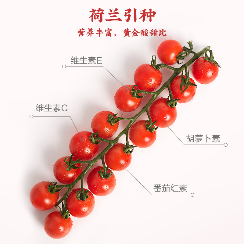 [苏宁自主品牌]苏鲜生串收番茄 198g*3盒 小番茄圣女果水果