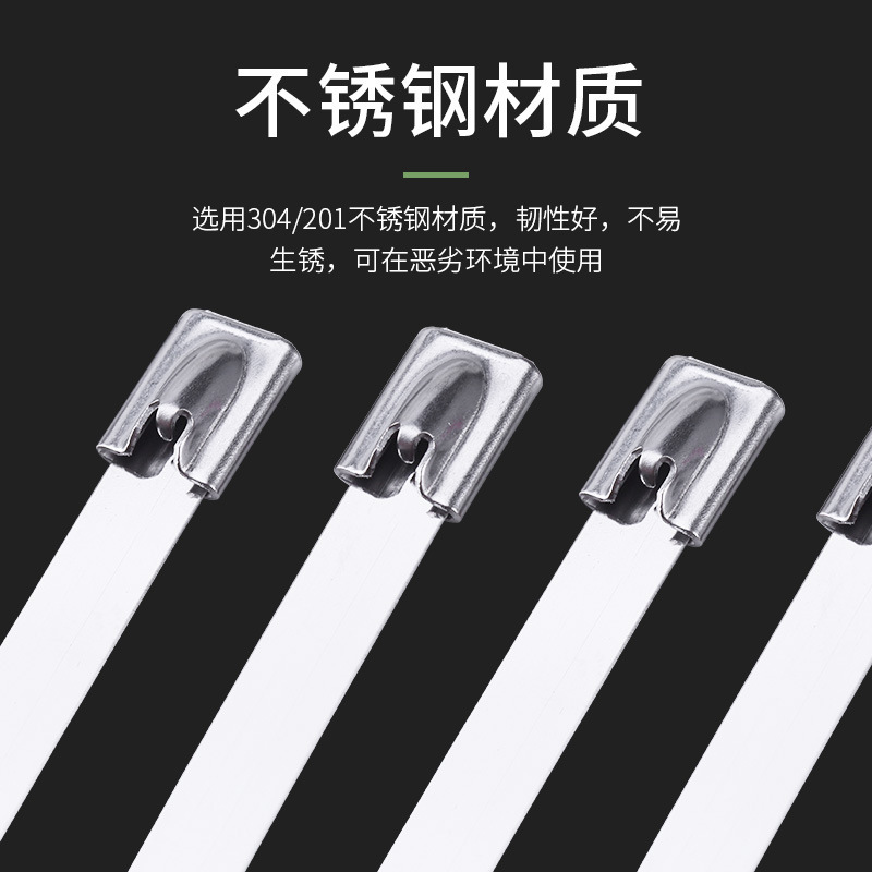 水龙珠(SHUILONGZHU)不锈钢扎带金属船用扎带4.6*100mm100条/包 2包起订