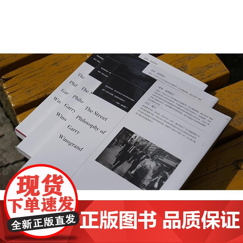 温诺格兰的街头摄影哲学 (英)杰夫·戴尔 摄影评论集摄影艺术 南京大学出版社高清大图