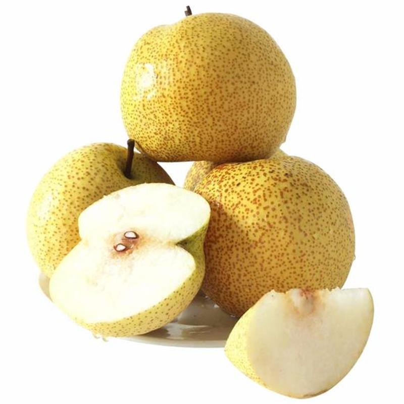 [鲜贝达]新鲜砀山酥梨5斤装 当季脆甜梨子 早酥梨 梨子高清大图