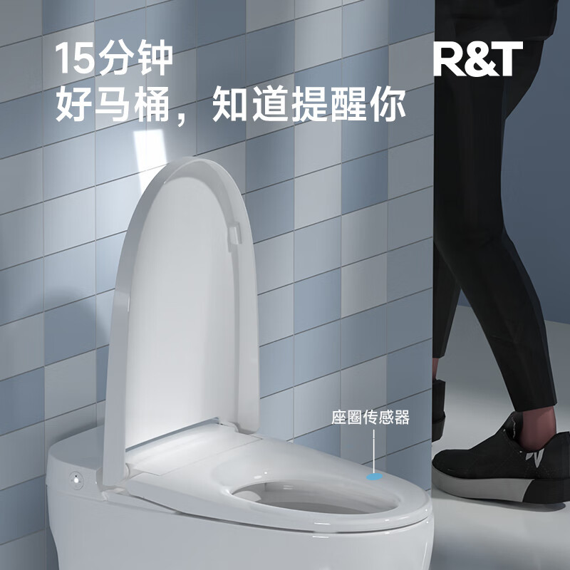瑞尔特(R&T)智能马桶一体机家用带水箱脚感冲水座温调节无水压轻智能坐便器 S1C