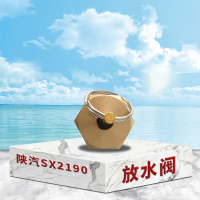 东梵陕汽SX2190储气筒放水阀