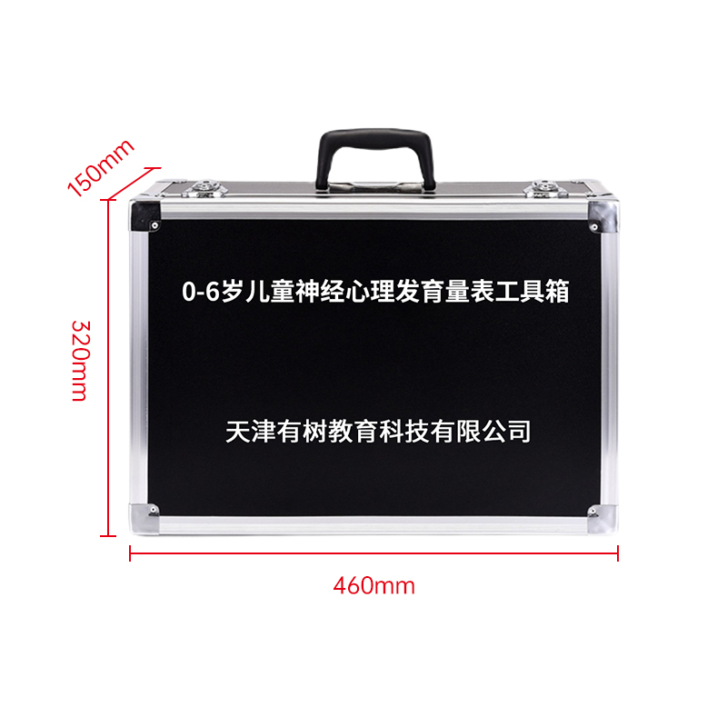 有树 YSXL-BABY01 0-6岁儿心量表2儿童神经心理行为发育商筛工具箱查早教教具高清大图