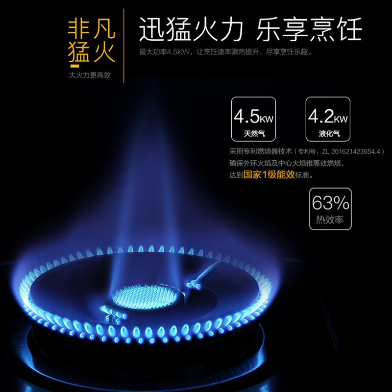 Fardior/法迪欧燃气灶JZT-2G15 不锈钢面板 台嵌两用 天然气 灶具 家用燃气灶高清大图